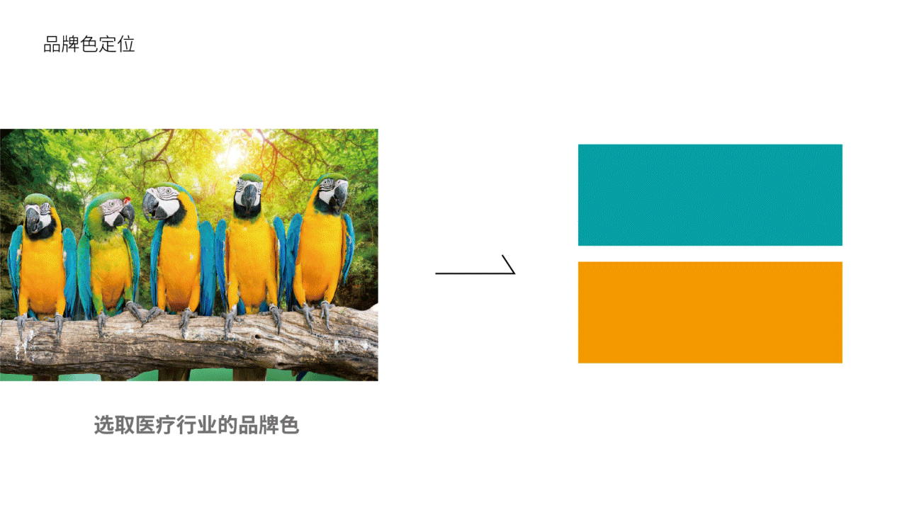 醫療咨詢品牌形象設計-璞求醫療LOGO升級